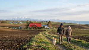 北海道の空き家アイキャッチ