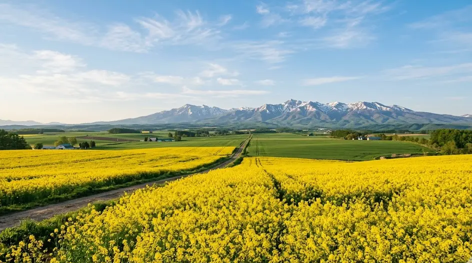 city_hokkaido_abiratown 空き家 イメージ画像