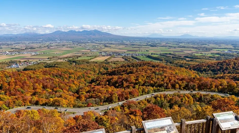 city_hokkaido_hidakatown 空き家 イメージ画像