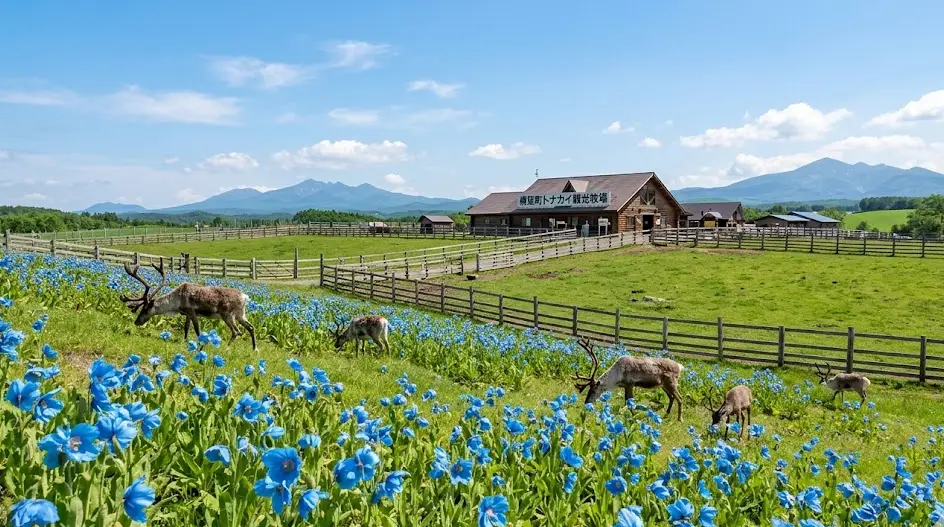 city_hokkaido_horonobetown 空き家 イメージ画像