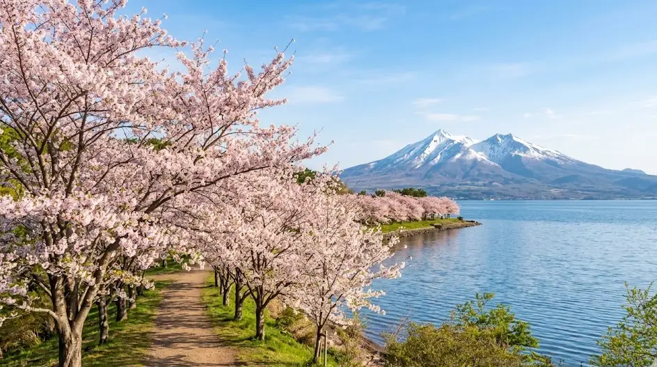 city_hokkaido_moritown 空き家 イメージ画像