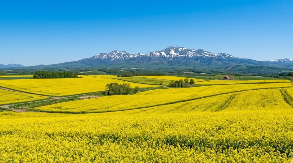 city_hokkaido_takikawashi 空き家 イメージ画像