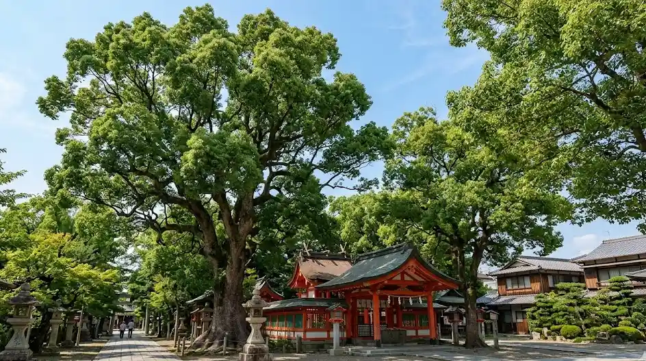 city_osaka_osakashi_hiranoku 空き家 イメージ画像