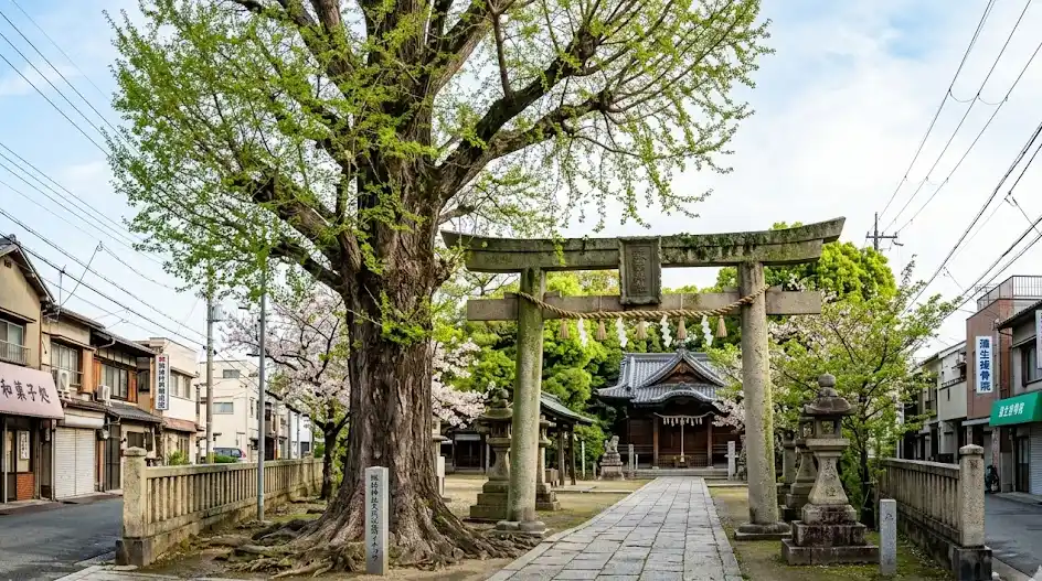 city_osaka_osakashi_jotoku 空き家 イメージ画像