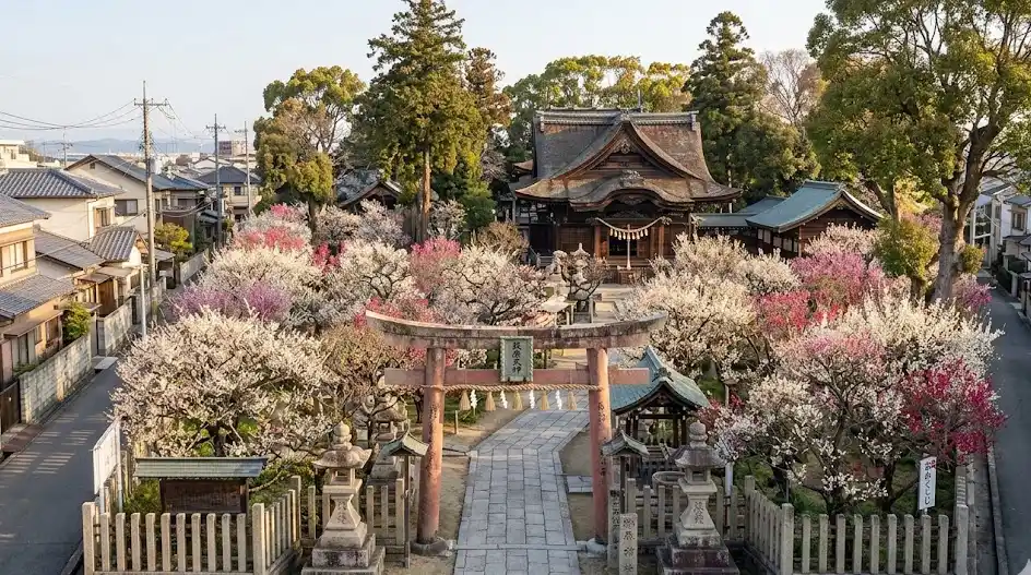 city_osaka_sakaishi_higashiku 空き家 イメージ画像