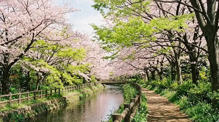 city_tokyo_kodairashi 空き家 イメージ画像