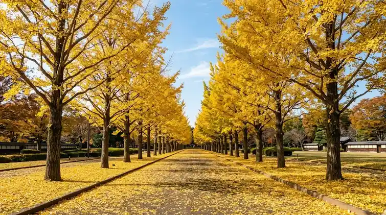 city_tokyo_tachikawashi 空き家 イメージ画像