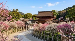 prefecture_fukuoka 空き家 イメージ画像