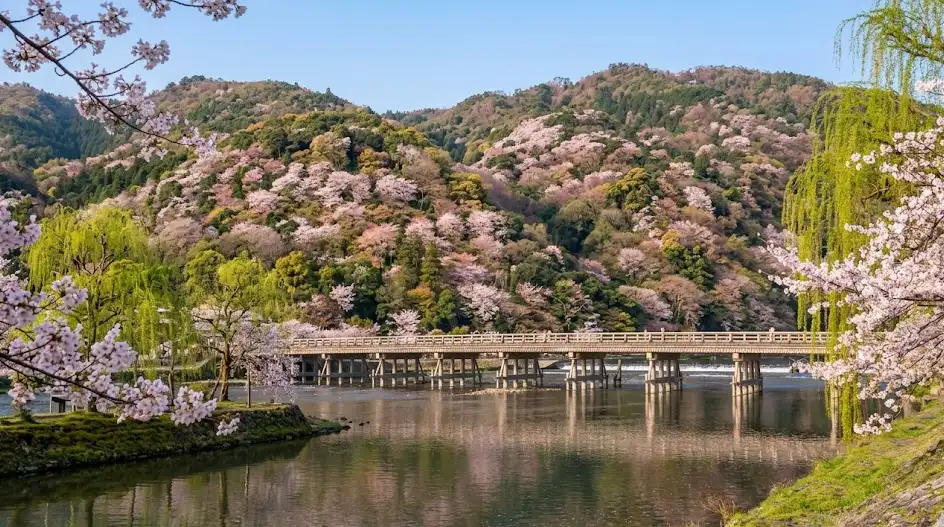 prefecture_kyoto 空き家 イメージ画像