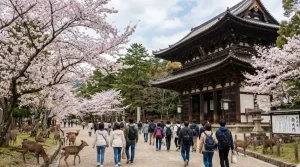 prefecture_nara 空き家 イメージ画像