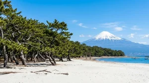prefecture_shizuoka 空き家 イメージ画像