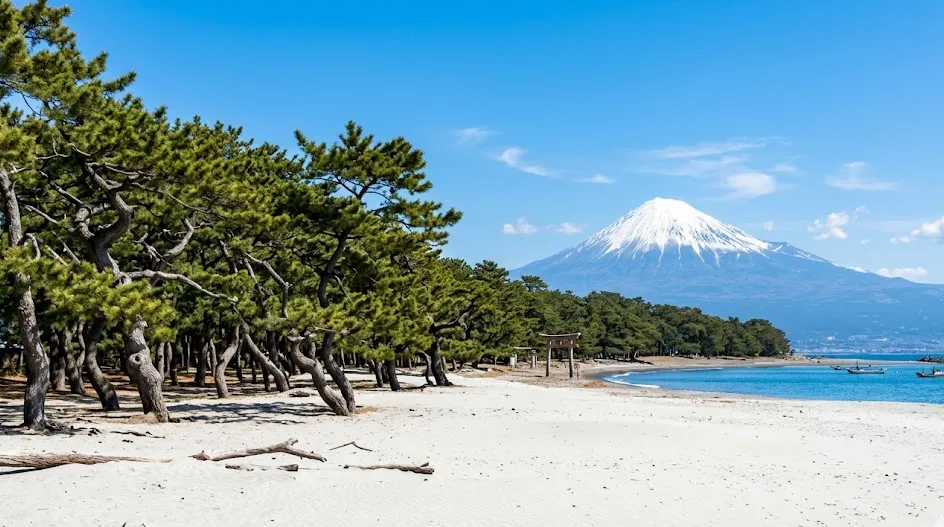 prefecture_shizuoka 空き家 イメージ画像