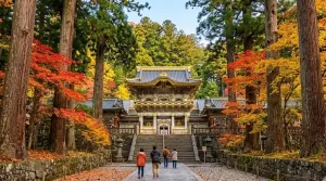 prefecture_tochigi 空き家 イメージ画像