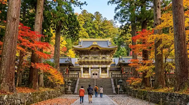 栃木県の空き家事情